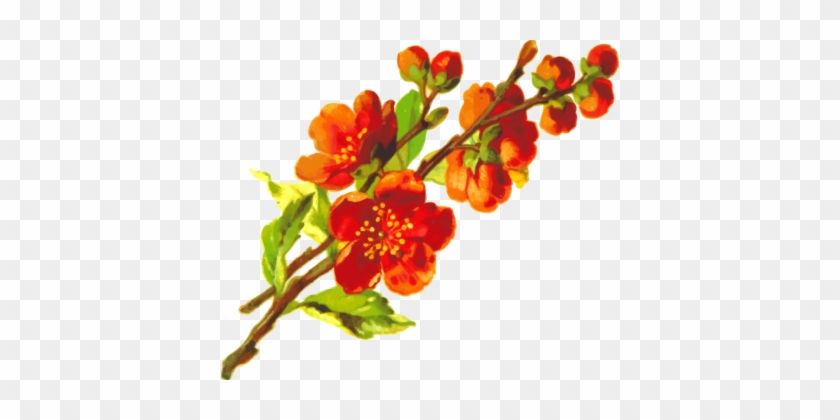 Flower Rose Floral Design Plant Symbolism - 47.2x70.9 Flower Bamboo Natural Rug Housewarming Brown #1377074