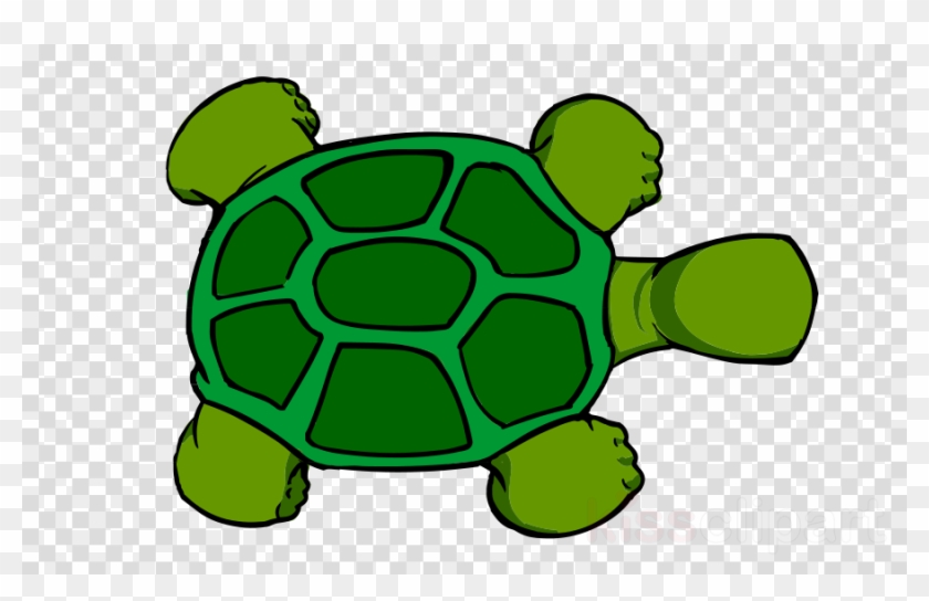Cartoon Turtle Top View Clipart Sea Turtle Reptile - Logo Chef Transparent Background #1377121