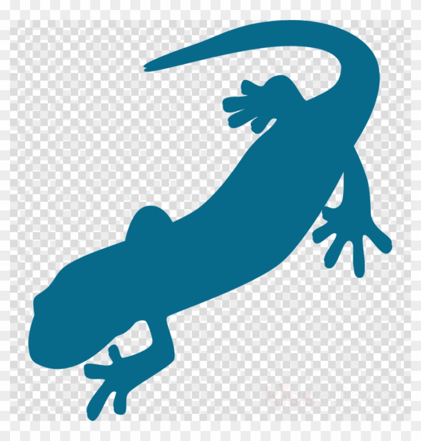 Salamander Clip Art Clipart Salamander Newt Clip Art - Newt Clipart #1377122