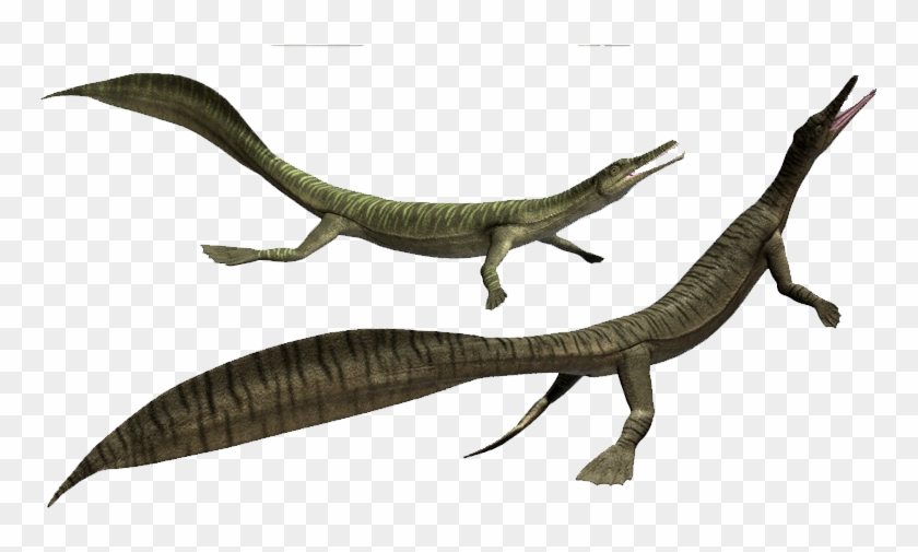 Marine Prehistoric Life Mesosaurus - Marine Reptile Png #1377134