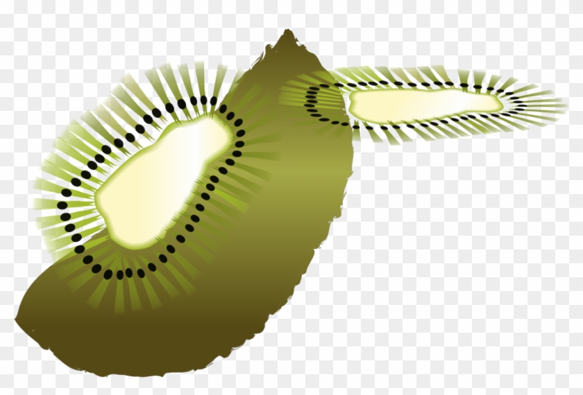 Kiwifruit Computer Icons Bird Coloring Book - Clip Art #1377449