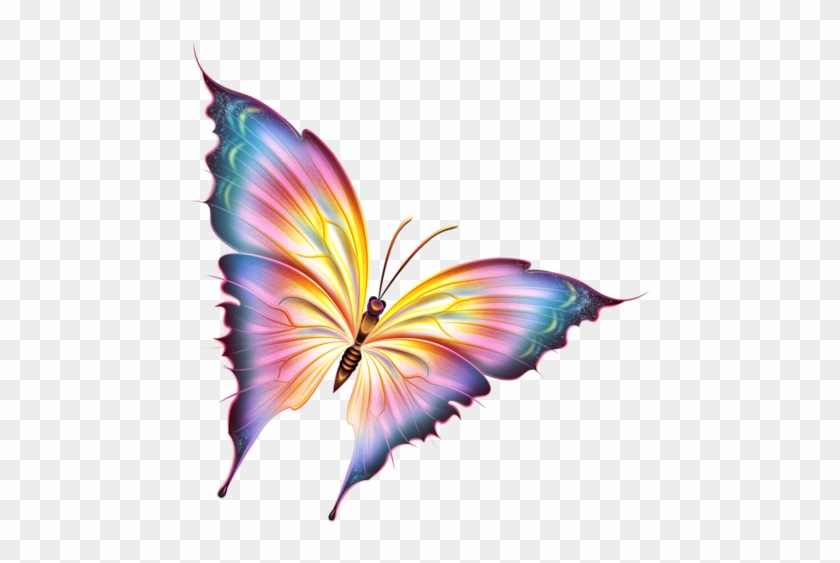 Cartoon Butterfly, Butterfly Clip Art, Butterfly Drawing, - Beautiful  Butterflies Cartoon - Free Transparent PNG Clipart Images Download