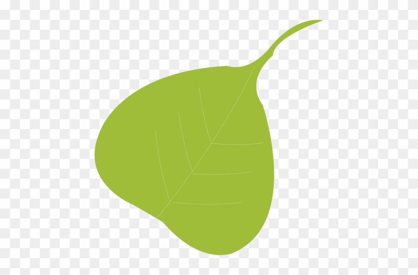 Peepal Tree Leaf Png #1377583