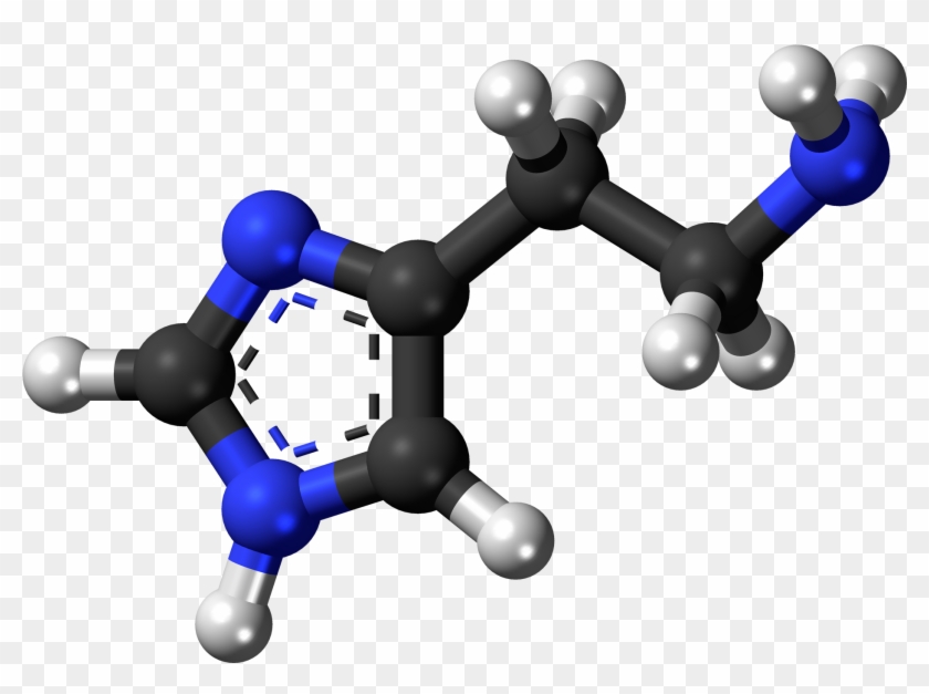 Scombroid Fish Poisoning Bacteria #1377604