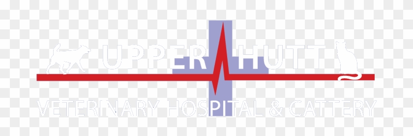 Menu - Upper Hutt Vet Hospital & Cattery #1377628