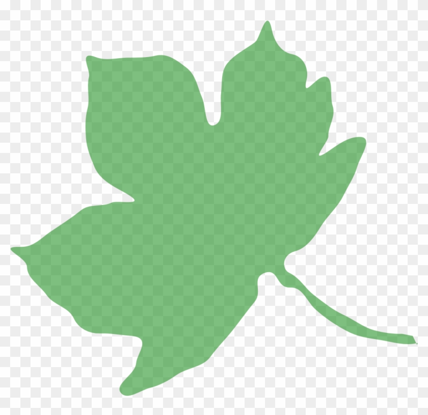 Forest School Handbook - Heacham Junior School #1377842