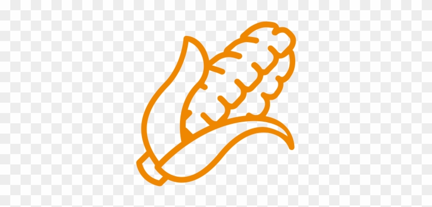 Corn - Corn #1378037