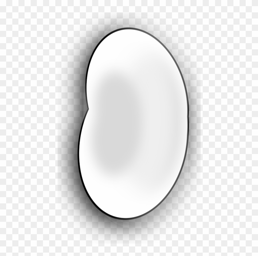 All Photo Png Clipart - Bean #1378076