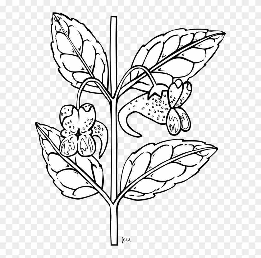 All Photo Png Clipart - Clip Art Black And White Plant #1378219