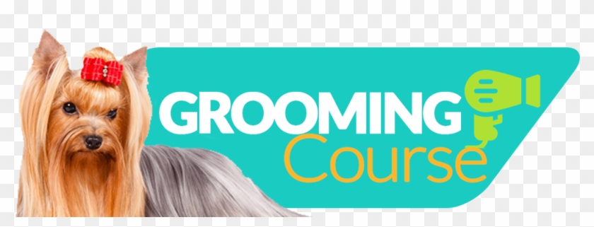 Request Reservation - Lovinpet Dog Scissors Grooming Curved Stainless Steel #1378306