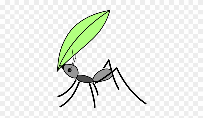 All Photo Png Clipart - Ant #1378567