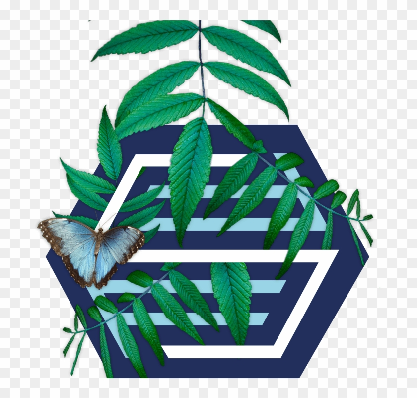 Environment Clipart Sustainable Development - オリオン 40v型 フルハイビジョン液晶テレビ 外付けhdd録画対応 裏番組録画 ブルーライトガード搭載 #1378705