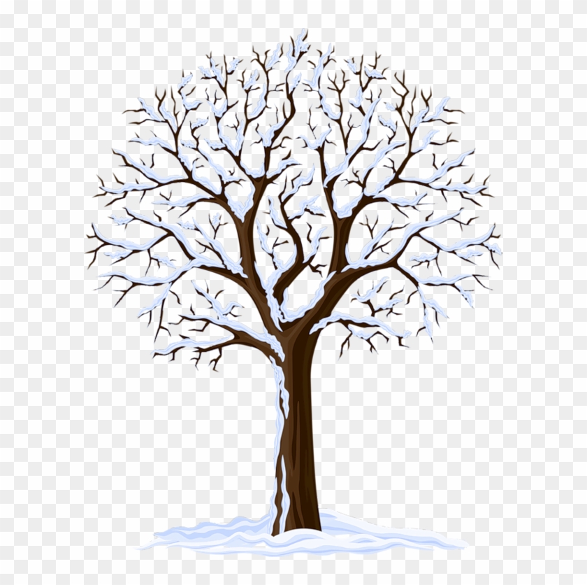 Arbre, Png, Árbol, Tree, - Bare Tree Transparent Background #1378862