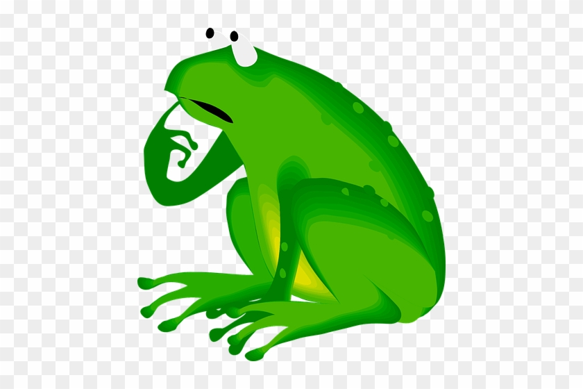 Bewildered - Frog Thinking #1378949
