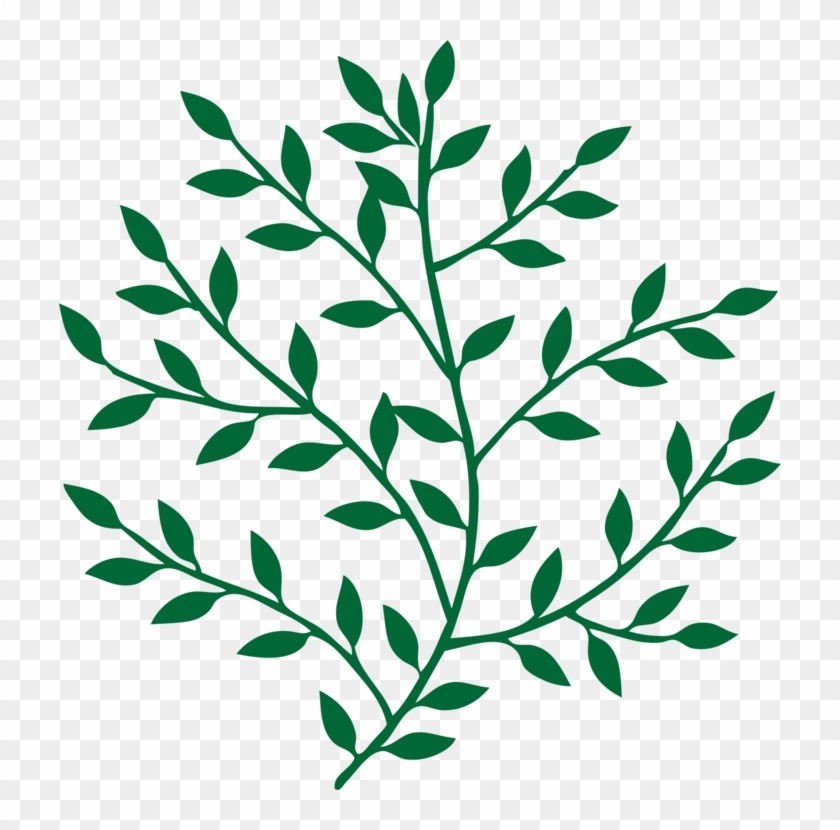 Leaf Branch Tree Bay Laurel Art - Leaves On Branches Png #1378957