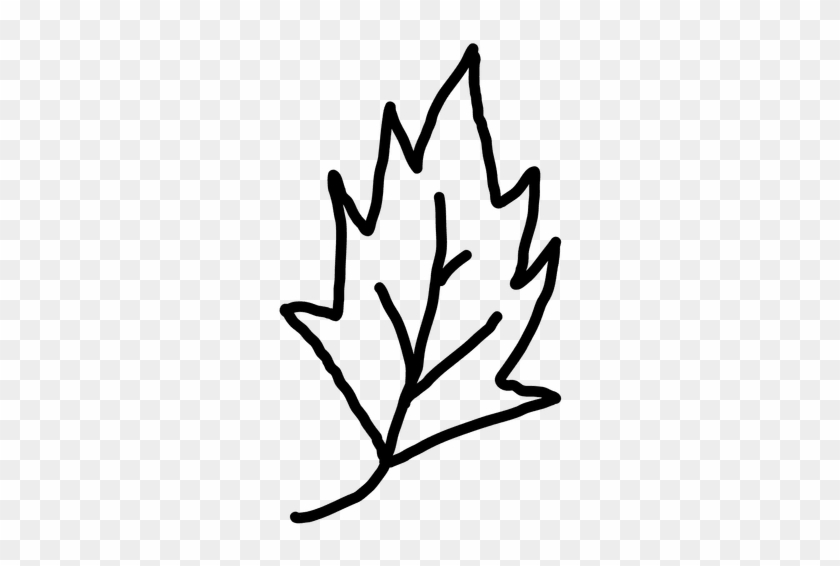 Clip Art Free Library Leaves Png Svg Vector - Leaf Outline Png #1378962