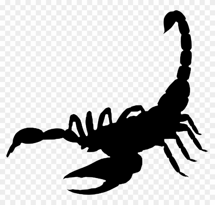Clip Art Transprent Png Free Download - Vis A Vis Dibujos #1379285