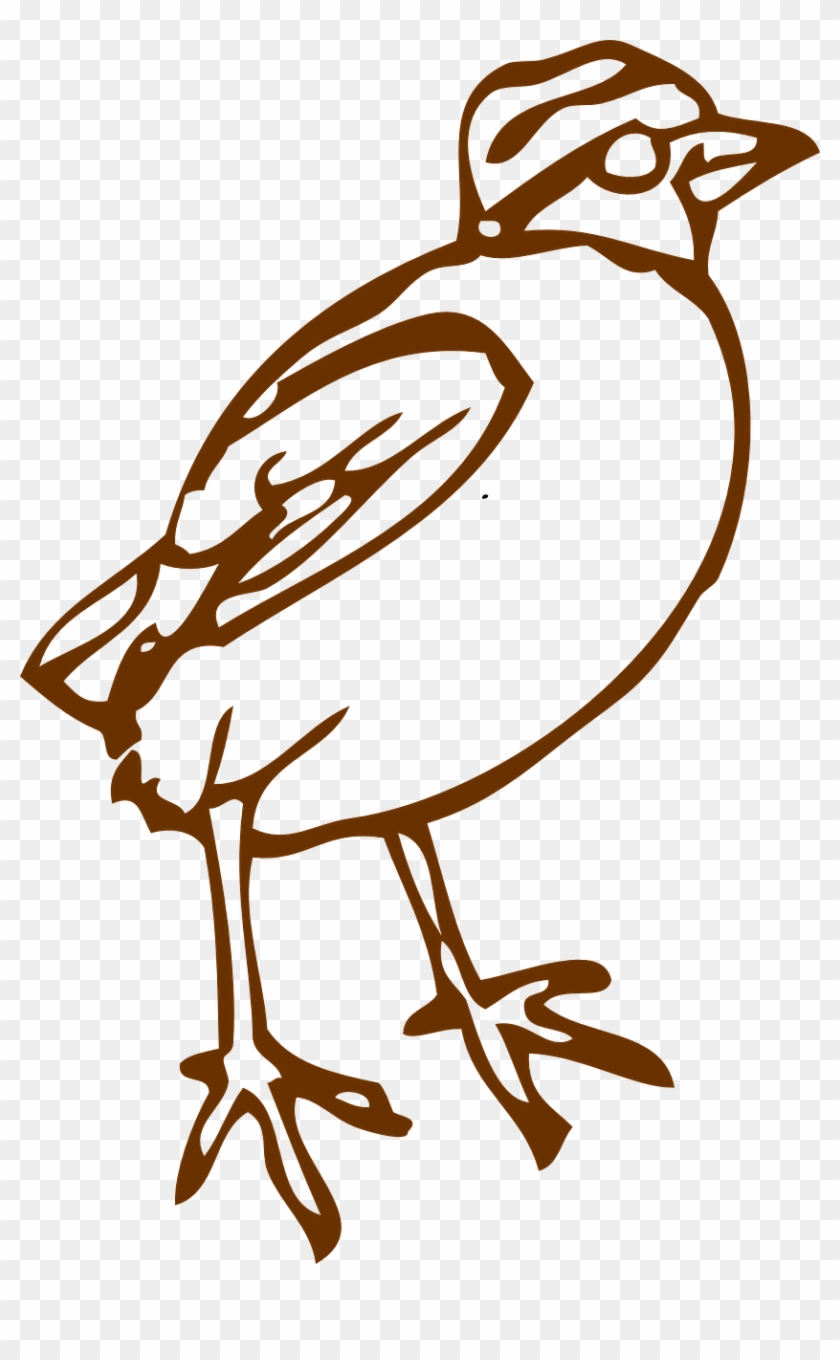 Vector - Bird Clipart #1379332