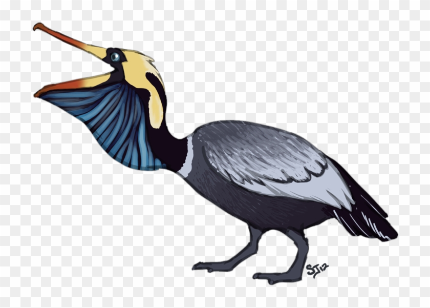 P - [pelican - Bantard] - Seabird #1379334