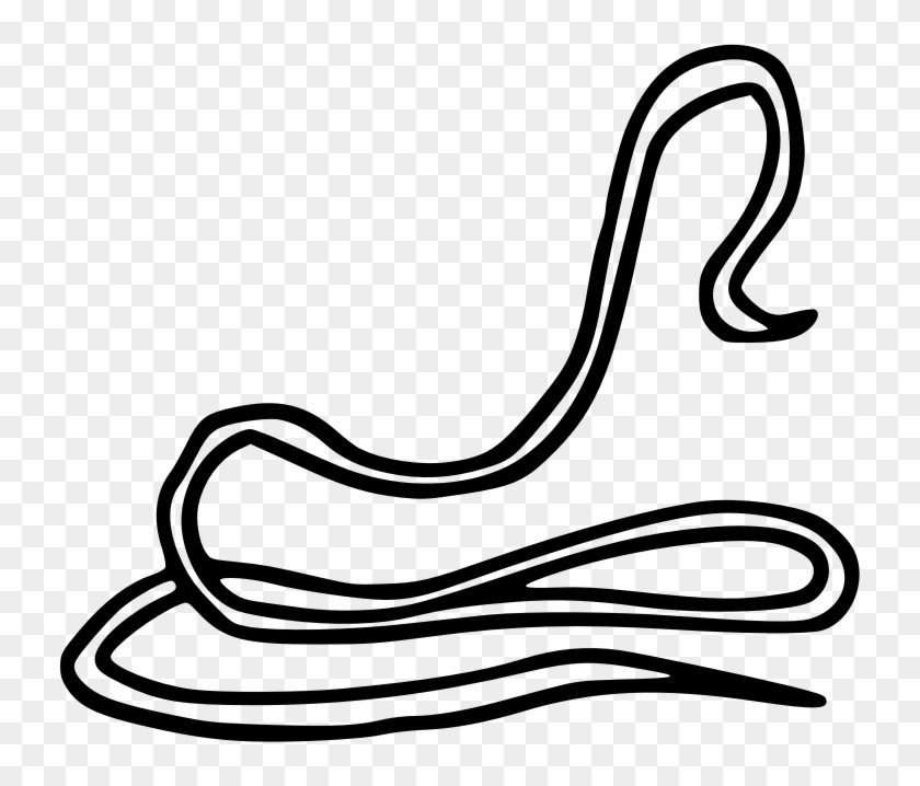 Worm Dracunculiasis Clip Art Transprent Png Free - Guinea Worm Clipart #1379575