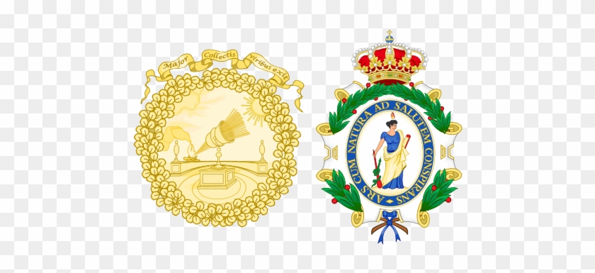 This Image Rendered As Png In Other Widths - Royal Academy Coat Of Arms #1379789