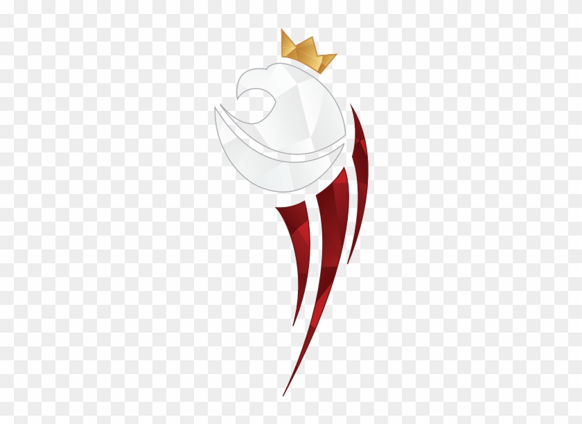 O Nas - Speed Ball Polska Logo #1380003