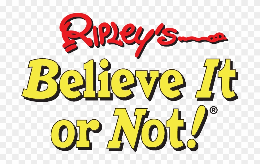 There's No Shortage Of Fun As You Explore His Unique - Ripley's Believe It Or Not #1380112