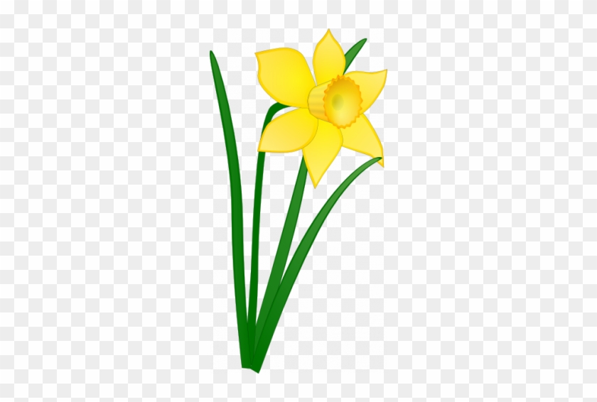 Easter Clip Daffodil - Daffodil Clipart #1380244