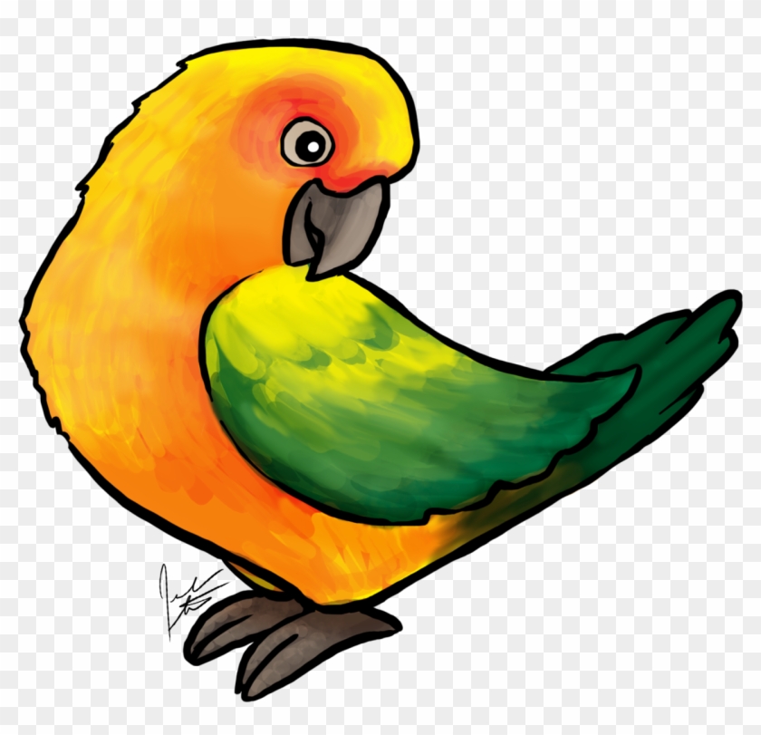 Jen's Dogs Has Posted It's First Bird Art The Sun Conure - Sun Conure #1380283