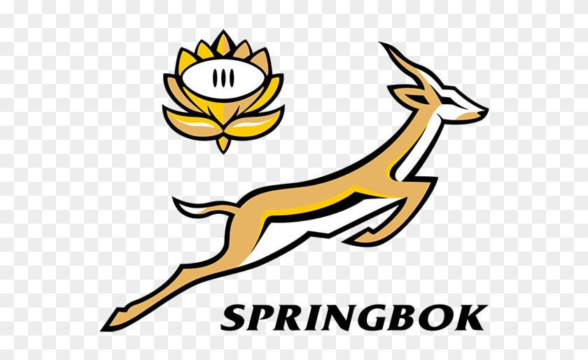 Tags - - All Blacks Vs Springboks #1380326