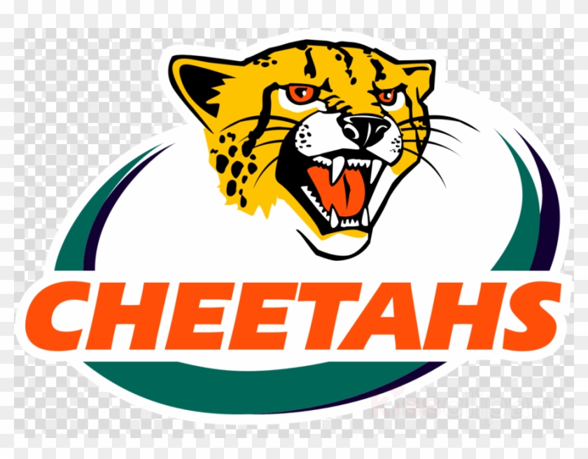 Super Rugby Cheetahs Clipart Free State Cheetahs South - Sharks Vs Cheetahs Rugby #1380432