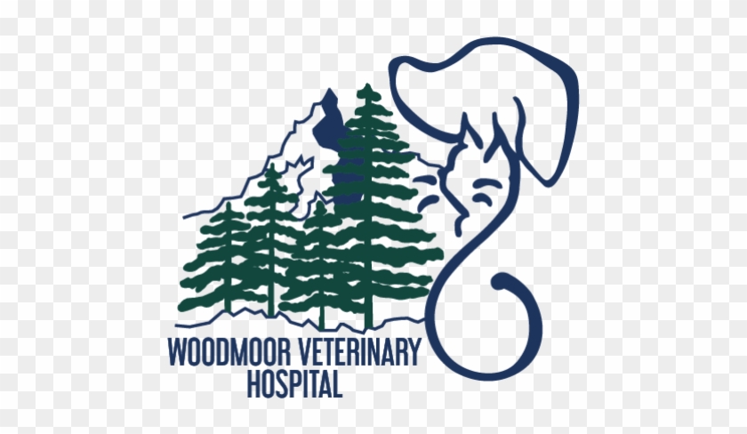 Woodmoor Veterinary Hospital, Tri-lakes, Monument, - Illustration #1380593