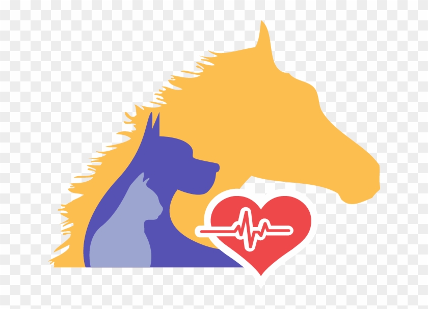 24 Hour Emergency Vet Open Public Holidays Contact - Baldivis Vet Hospital - Free Transparent PNG Clipart Images Download 24 Hour Emergency Vet Open Public Holidays Contact - Baldivis Vet Hospital - Free Transparent PNG Clipart Images Download