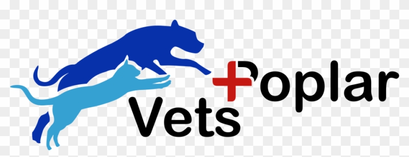 Poplar Vets #1380629