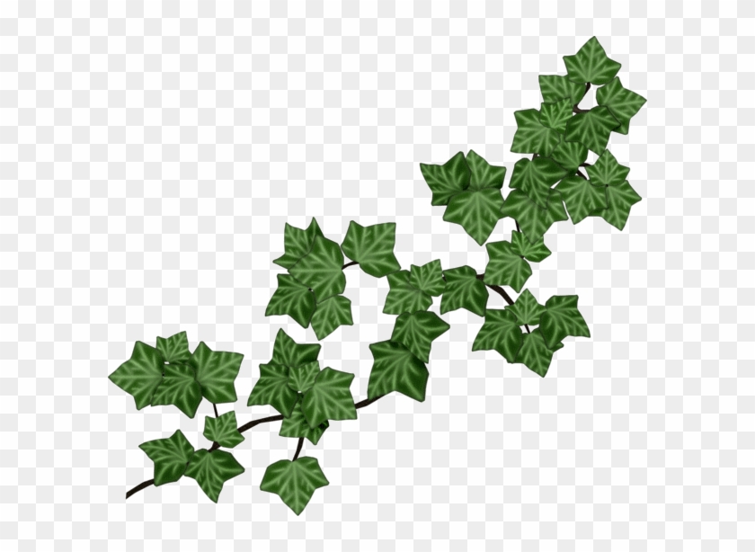 Joli Tube Yandex Disk, Clip Art, Leaves, Ivy, Tube, - Vines And Leaves #1380680