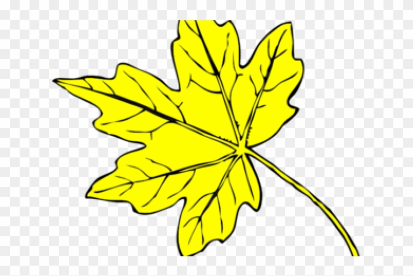Yellow Flower Clipart Leave Clipart - Line Drawing Maple Leaf #1380698