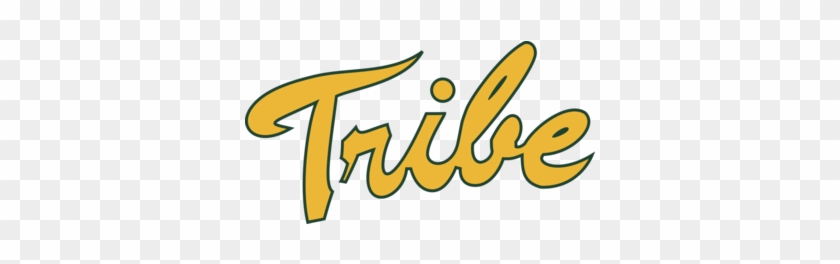 Tribe William & Mary - William & Mary Tribe #1381295