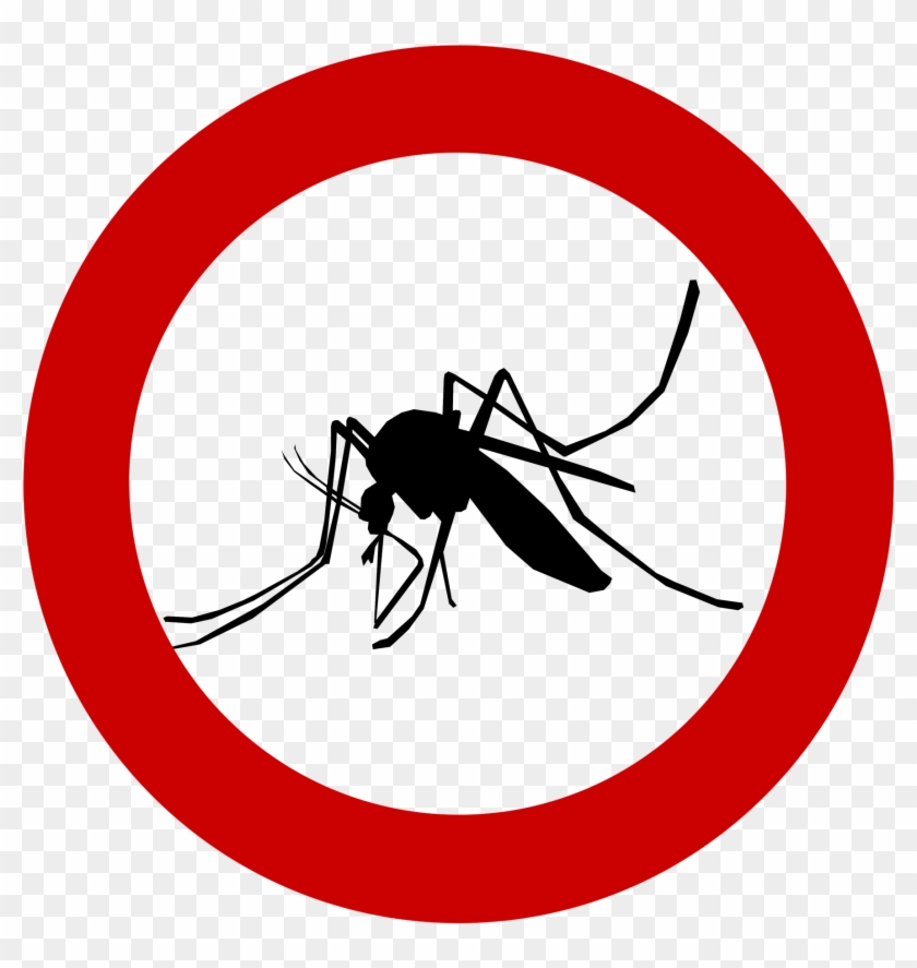 Mosquito Clipart Anopheles Mosquito - Defend Natural And Deet Free Waterproof Insect #1381318