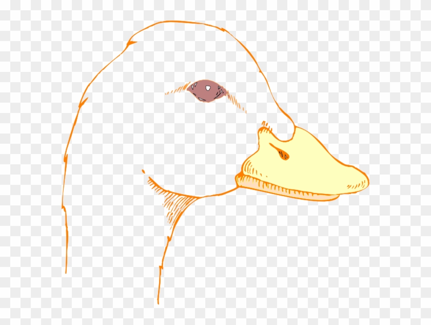 Beak Of Duck Drawing #1381698