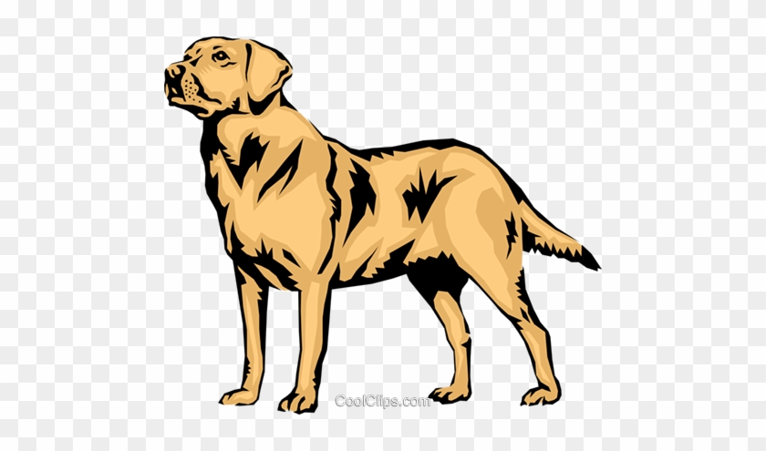 Clipart At Getdrawings Com - Labrador Retriever Vector Png #1381946