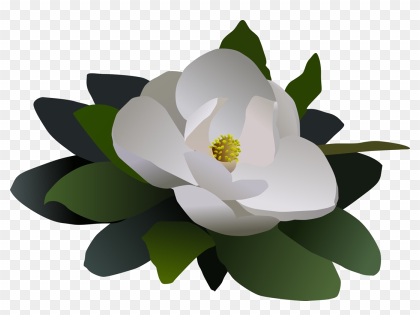 Sacred Lotus Magnolia Petal Computer - Clip Art #1382274