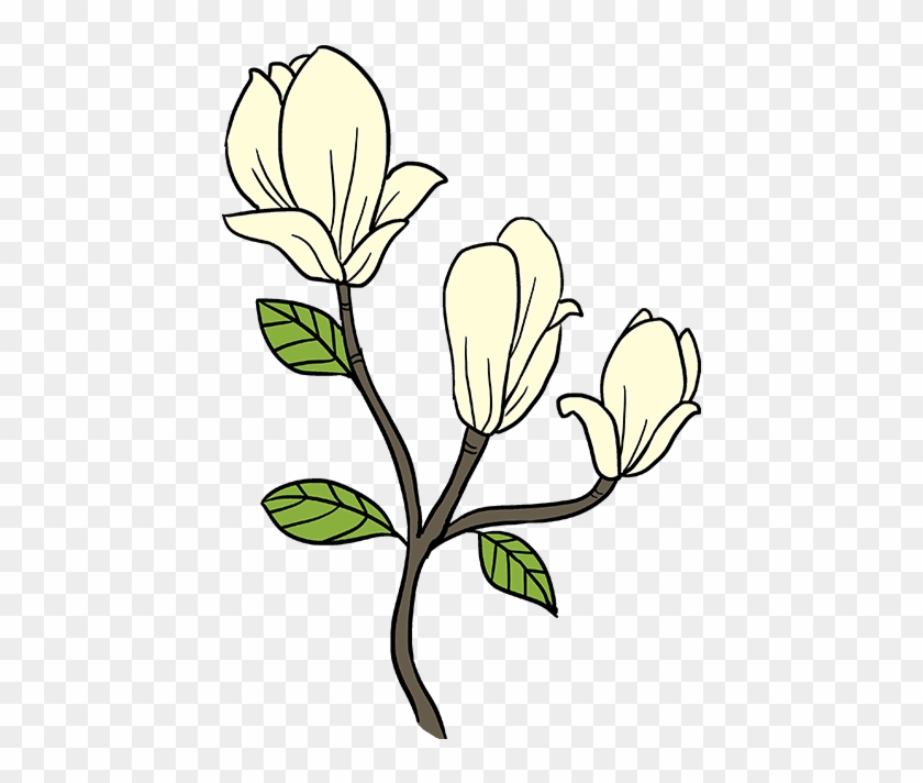 How To Draw Flowers Really Easy Tutorial - Draw A Magnolia Flower Easy #1382289