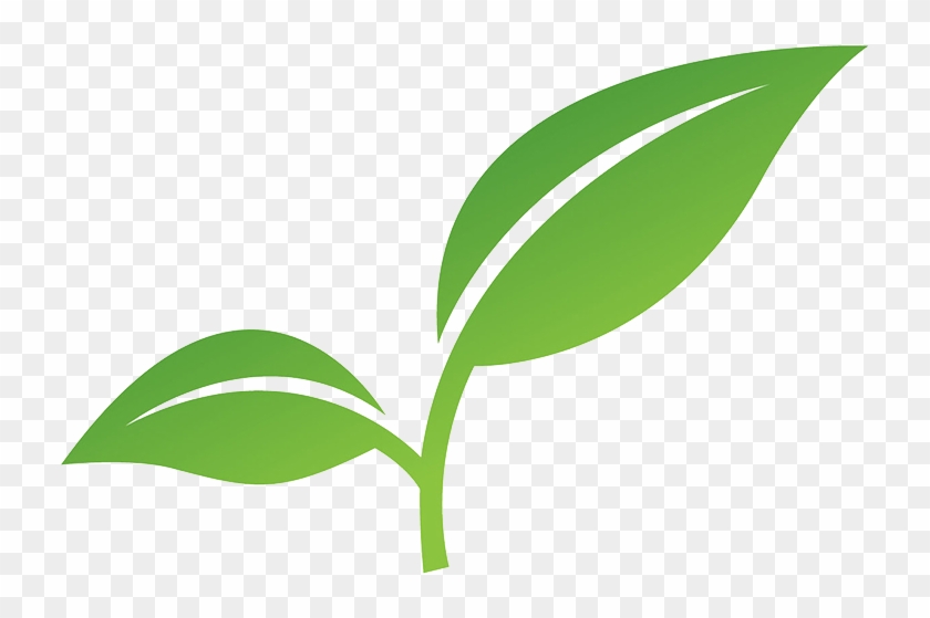 Committed To Environmental Sustainability - Stock Photography #1382296