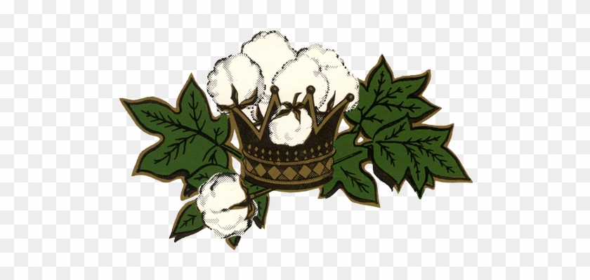 Memphis Cotton Wives Collection - Memphis #1382487