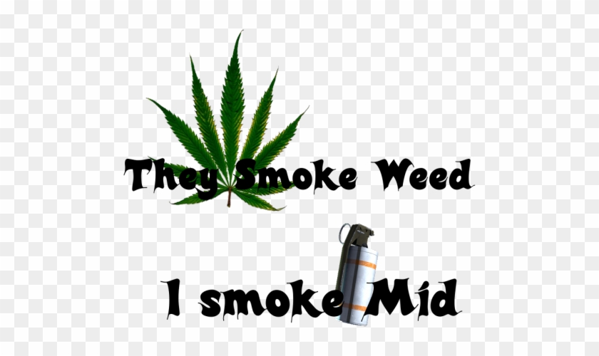 They Smoke Weed, I Smoke Mid - Pot Leaf Square Sticker 3" X 3" #1382528