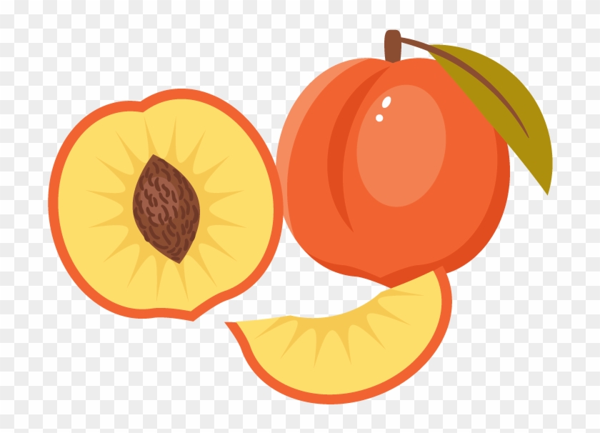 How To Create A Peach Illustration In - Adobe Illustrator #1382625