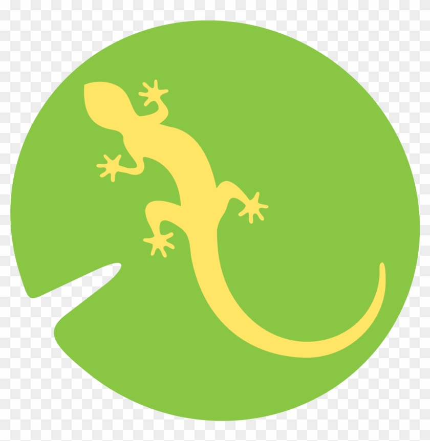 Newt Db - House Gecko #1382670