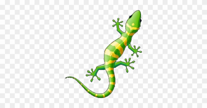 Lizard Clipart #1382686