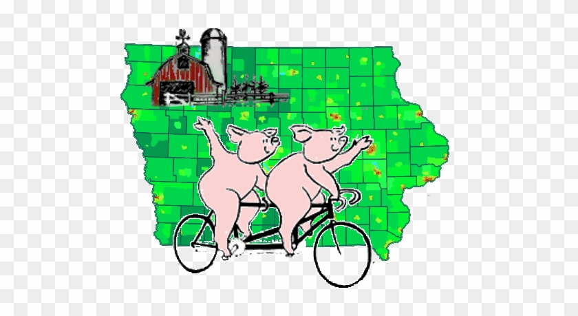 Pigs On Bicycles #1382761