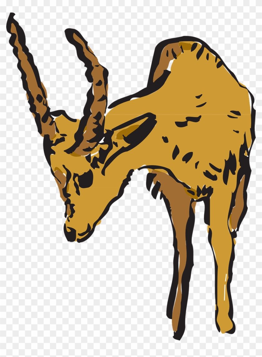 Vector - Antelope #1383339